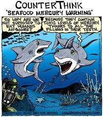 sharks against mercury